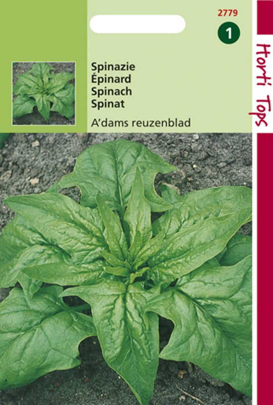 Spinazie Amsterdams Reuzenblad (Spinacia oleracea) 1125 zaden